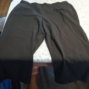 Kim Rogers pants 22w